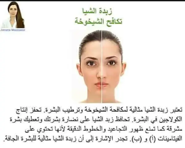 زبدة الشيا للتجاعيد