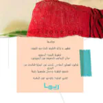 الليفة-الكورية-الاصلية-ريما-حلزونة-بورسعيد